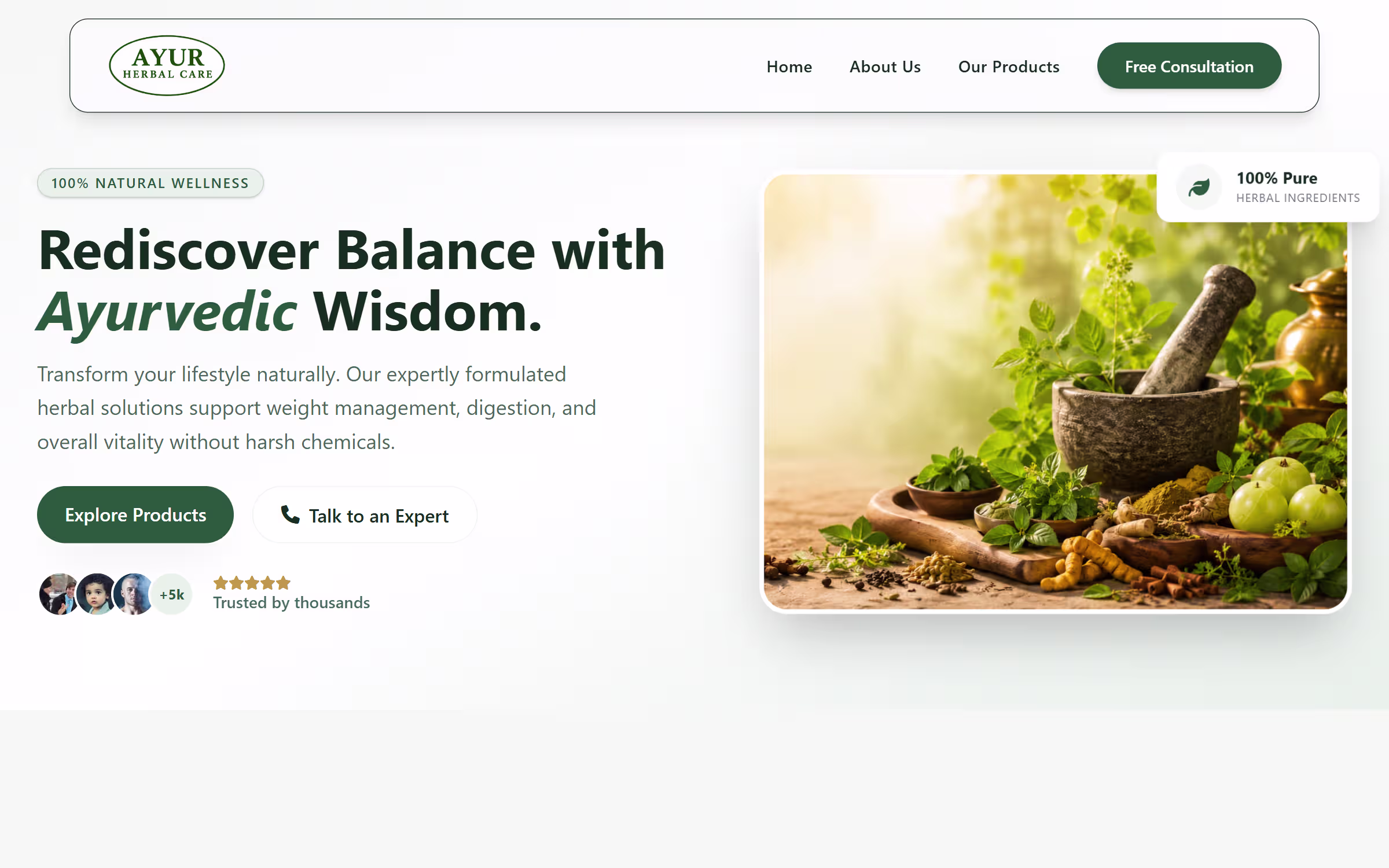 Ayur Herbal Care Desktop View